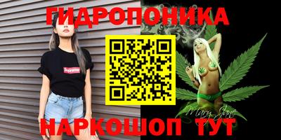 спиды Дубна