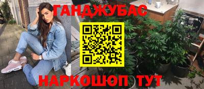 спиды Дубна