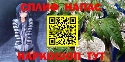 спиды Дубна