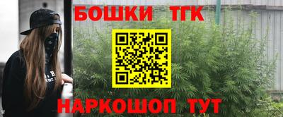 спиды Дубна