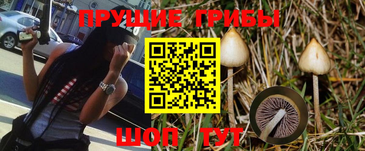 Псилоцибиновые грибы Magic Shrooms  Вход с VPN  Псилоцибиновые грибы Psilocybine cubensis  Майский 